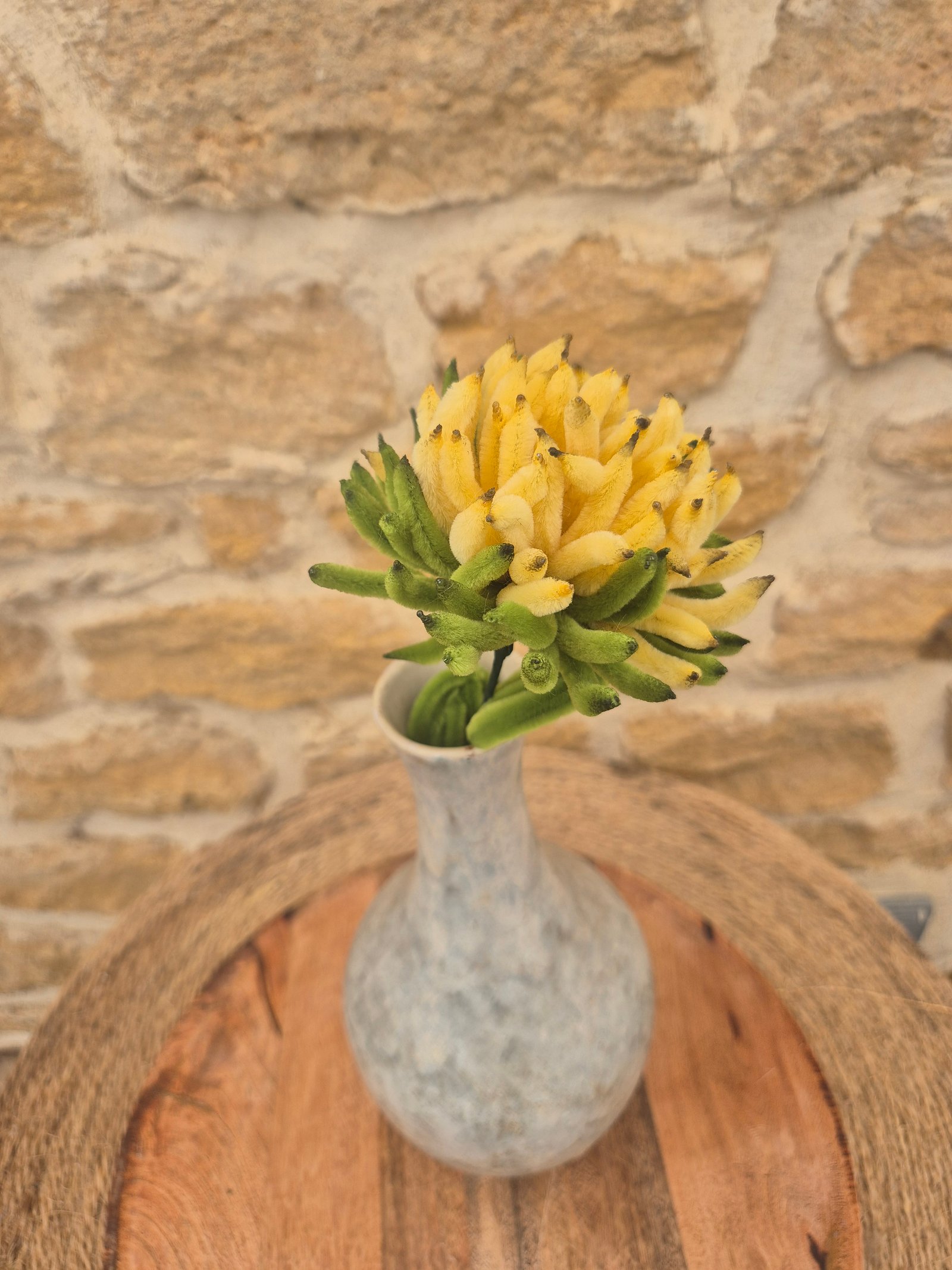 Chrysanthème jaune clair