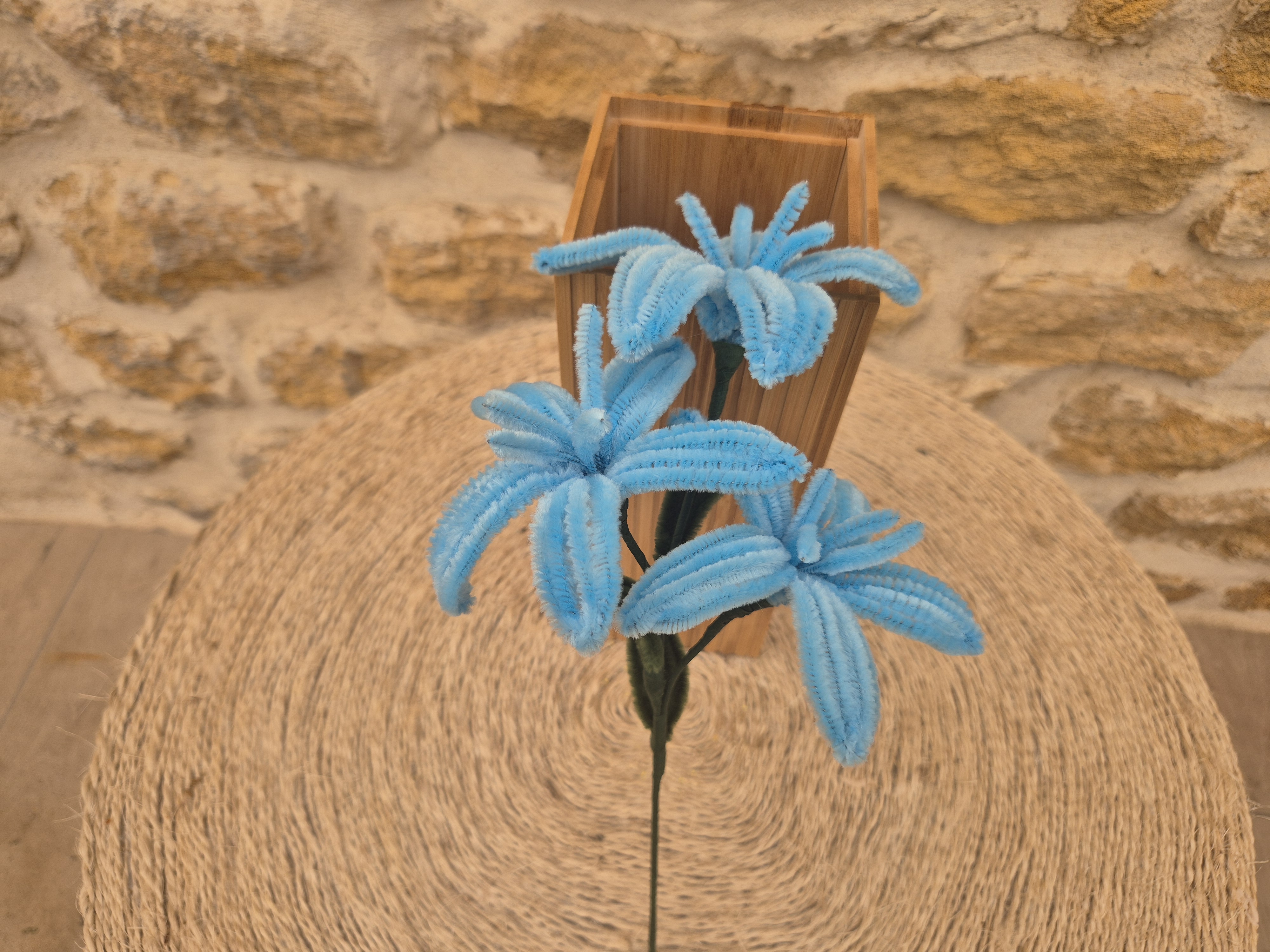 Lys 3 fleurs cure pipe bleue claire