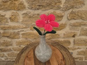 Grand lys rose fuchsia
