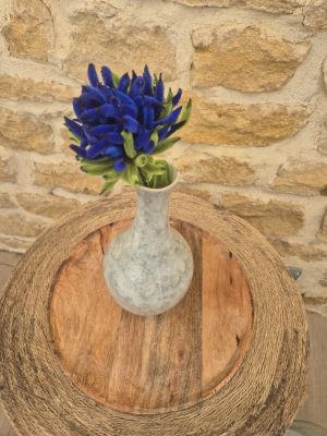 Chrysanthème bleu roi