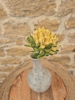 Chrysanthème jaune clair