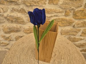 Tulipe cure pipe bleue foncée