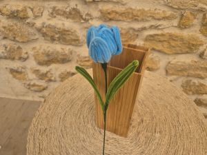 Tulipe cure pipe bleue clair